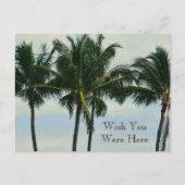 Kauai Hawaii Tropical Palm Trees Briefkaart (Voorkant)