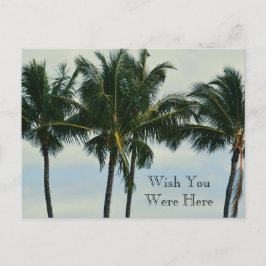 Kauai Hawaii Tropical Palm Trees Briefkaart