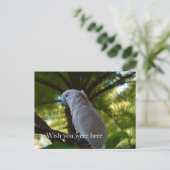 Kauai Hawaii Vogel in een boom Briefkaart (Staand voorkant)