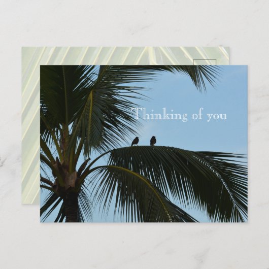 Kauai Hawaii Vogels in Palm Tree Briefkaart (Voorkant / Achterkant)