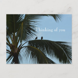 Kauai Hawaii Vogels in Palm Tree Briefkaart