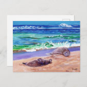 Kauai Hawaiian Monk Seals op Poipu Beach Briefkaar Briefkaart (Voorkant / Achterkant)
