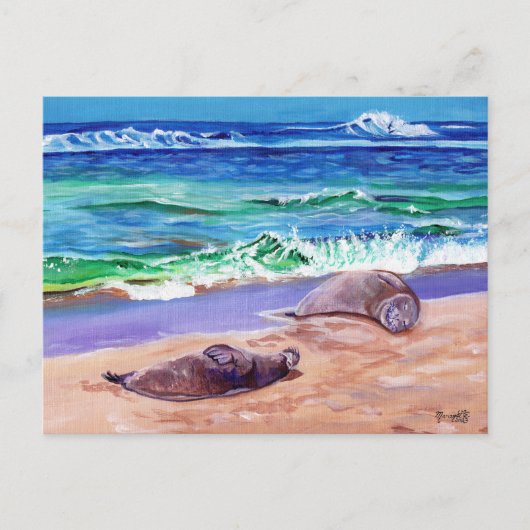 Kauai Hawaiian Monk Seals op Poipu Beach Briefkaar Briefkaart (Voorkant)