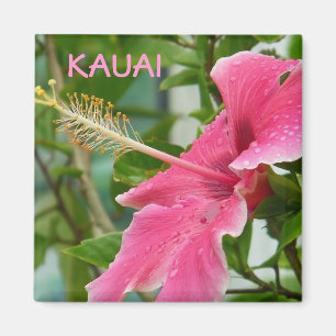 Kauai Hawaiian Tropische Bloemen Hibiscus Magneet