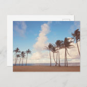 Kauai Island Palm Trees Briefkaart (Voorkant / Achterkant)