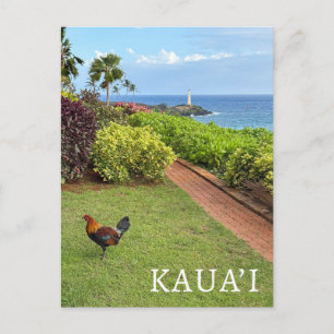 Kauai Ninini Point Lighthouse Hawaï Briefkaart