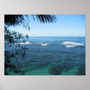 kauai oceaan poster