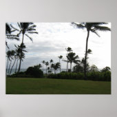 Kauai Palm Poster (Voorkant)
