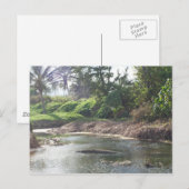 Kauai Paradise Briefkaart (Voorkant / Achterkant)