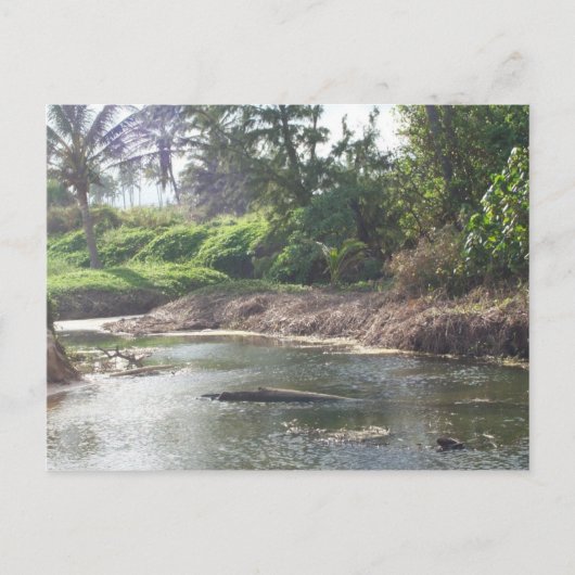 Kauai Paradise Briefkaart (Voorkant)
