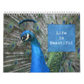 Kauai Peacock Feathers Kalender (Hoes)