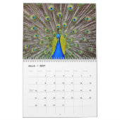 Kauai Peacock Feathers Kalender (Mar 2027)