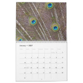 Kauai Peacock Feathers Kalender (Jan 2027)