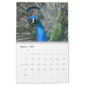 Kauai Peacock Feathers Kalender (Feb 2027)