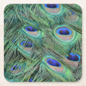 Kauai Peacock Feathers Kartonnen Onderzetters (Voorkant)