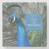 Kauai Peacock Feathers Stenen Onderzetter (Voorkant)