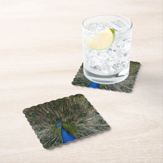 Kauai Peacock Kartonnen Onderzetters (Insitu)