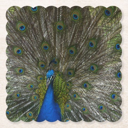Kauai Peacock Kartonnen Onderzetters (Voorkant)