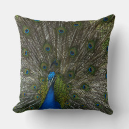 Kauai Peacock Kussen