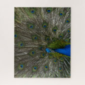 Kauai Peacock Legpuzzel (Verticaal)