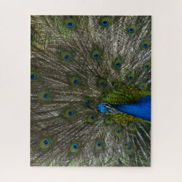 Kauai Peacock Legpuzzel
