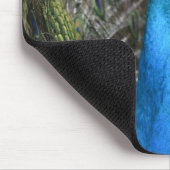 Kauai Peacock  Muismat (Hoek)