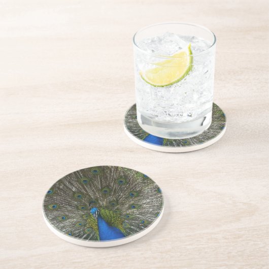 Kauai Peacock Zandsteen Onderzetter (Zijkant)