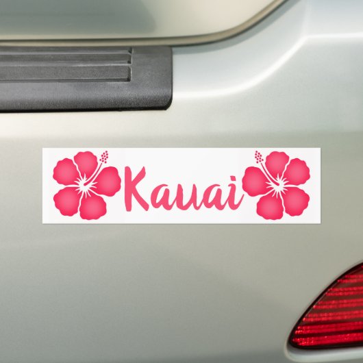 Kauai Pink Hibiscus Bumpersticker (Op auto)