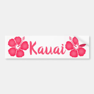 Kauai Pink Hibiscus Bumpersticker