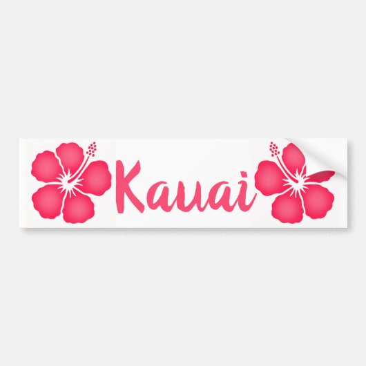 Kauai Pink Hibiscus Bumpersticker (Voorkant)