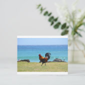 Kauai rooster briefkaart (Staand voorkant)