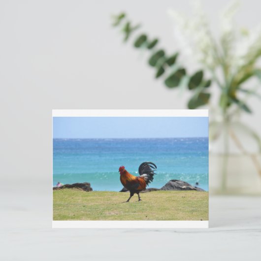 Kauai rooster briefkaart (Staand voorkant)