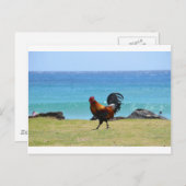 Kauai rooster briefkaart (Voorkant / Achterkant)