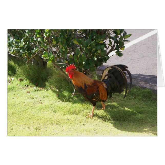 Kauai Rooster Card (Voorkant Horizontaal)