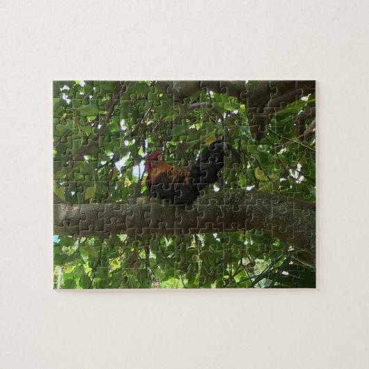 Kauai Rooster in Boom - Hawaii Legpuzzel (Horizontaal)