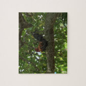 Kauai Rooster in Boom - Hawaii Legpuzzel (Verticaal)