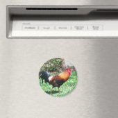 Kauai Rooster Magnet (Insitu (Vaatwasser))