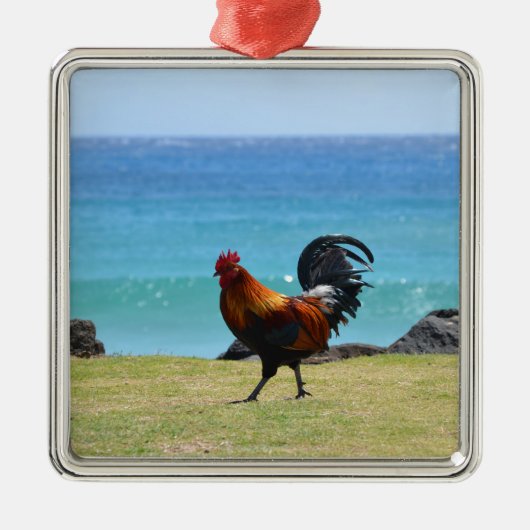 Kauai rooster metalen ornament (Voorkant)