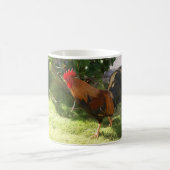 Kauai Rooster Mok (Center)