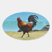 Kauai rooster ovale sticker (Voorkant)