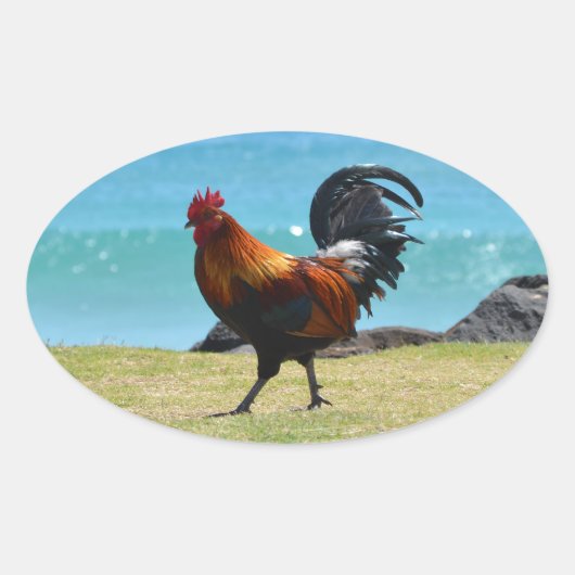 Kauai rooster ovale sticker (Voorkant)