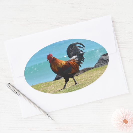 Kauai rooster ovale sticker (Envelop)