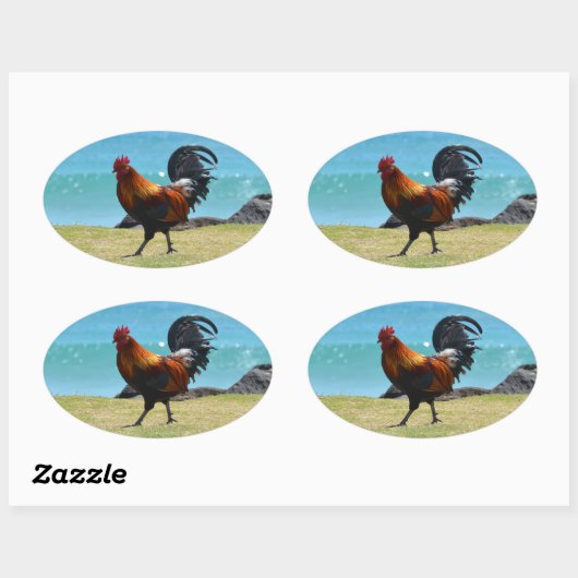 Kauai rooster ovale sticker (Vel)