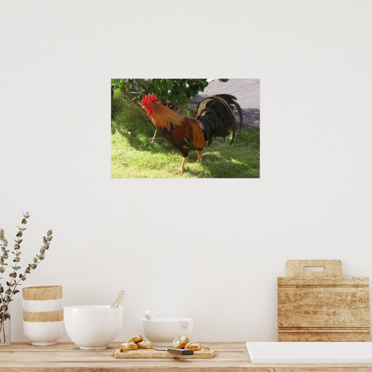 Kauai Rooster Poster (Keuken)