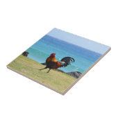 Kauai rooster tegeltje (Zijkant)
