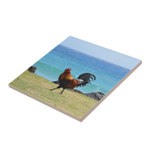 Kauai rooster tegeltje (Zijkant)