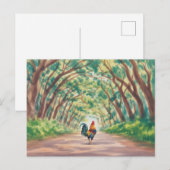 Kauai  Rooster walking towards tree tunnel Briefkaart (Voorkant / Achterkant)