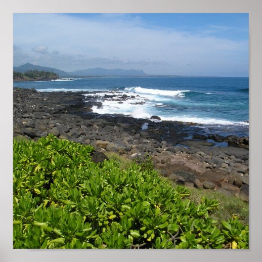 Kauai succulents 2 poster (Voorkant)