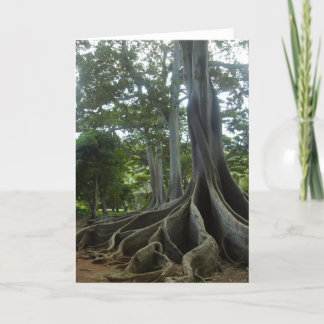 Kauai Tree uit Jurassic Park (eieren) Kaart