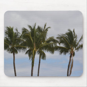 Kauai Tropische Palmbomen (foto genomen door mij) Muismat